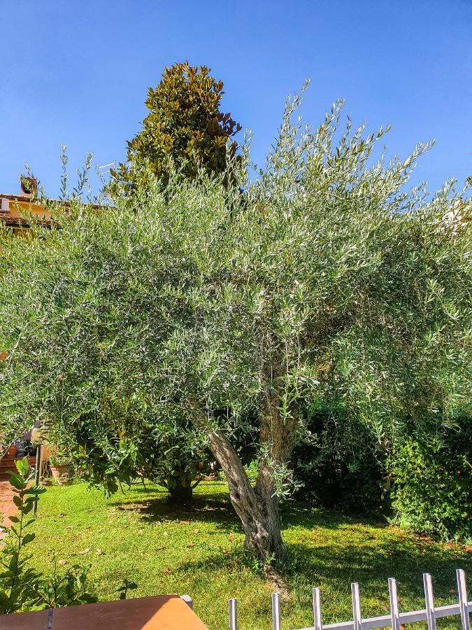 Villa Elsa, Cesena Zona Ippodromo מראה חיצוני תמונה