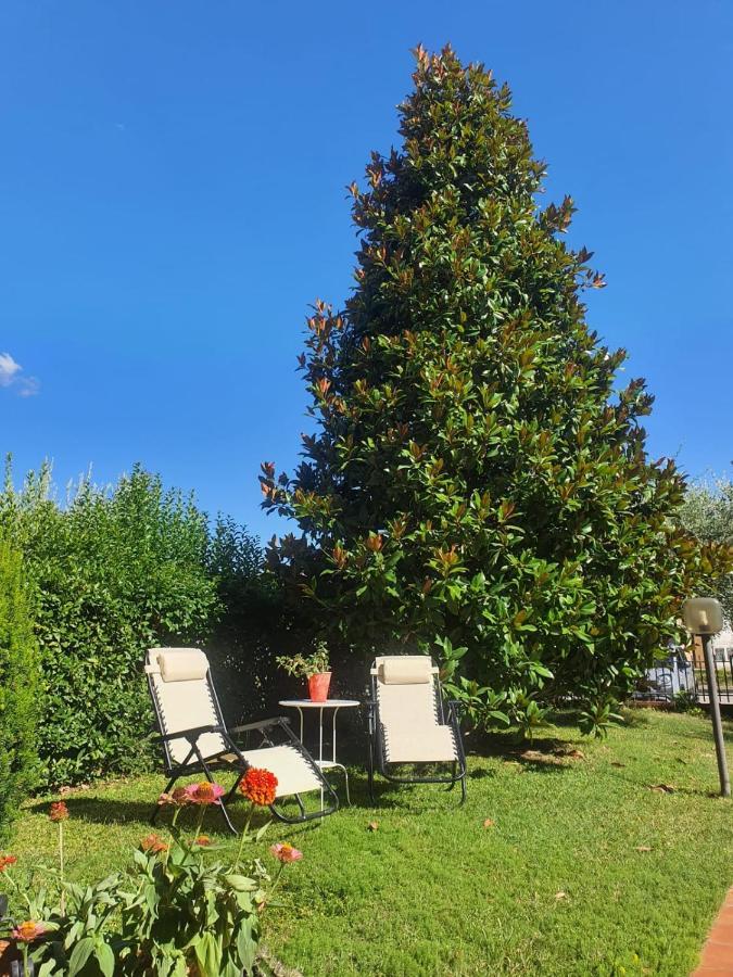 Villa Elsa, Cesena Zona Ippodromo מראה חיצוני תמונה