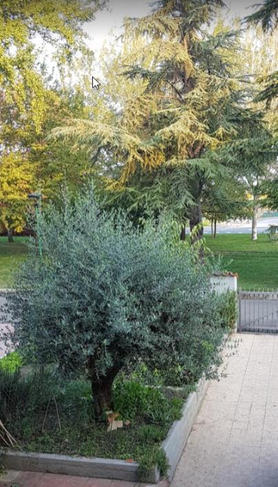 Villa Elsa, Cesena Zona Ippodromo מראה חיצוני תמונה