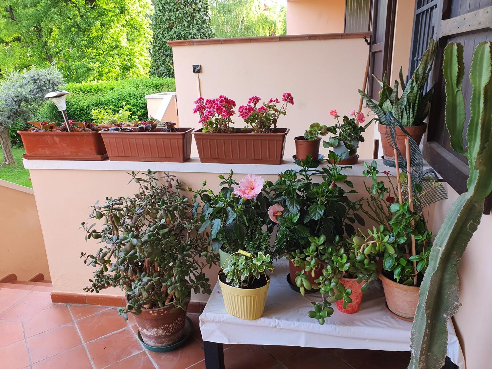 Villa Elsa, Cesena Zona Ippodromo מראה חיצוני תמונה