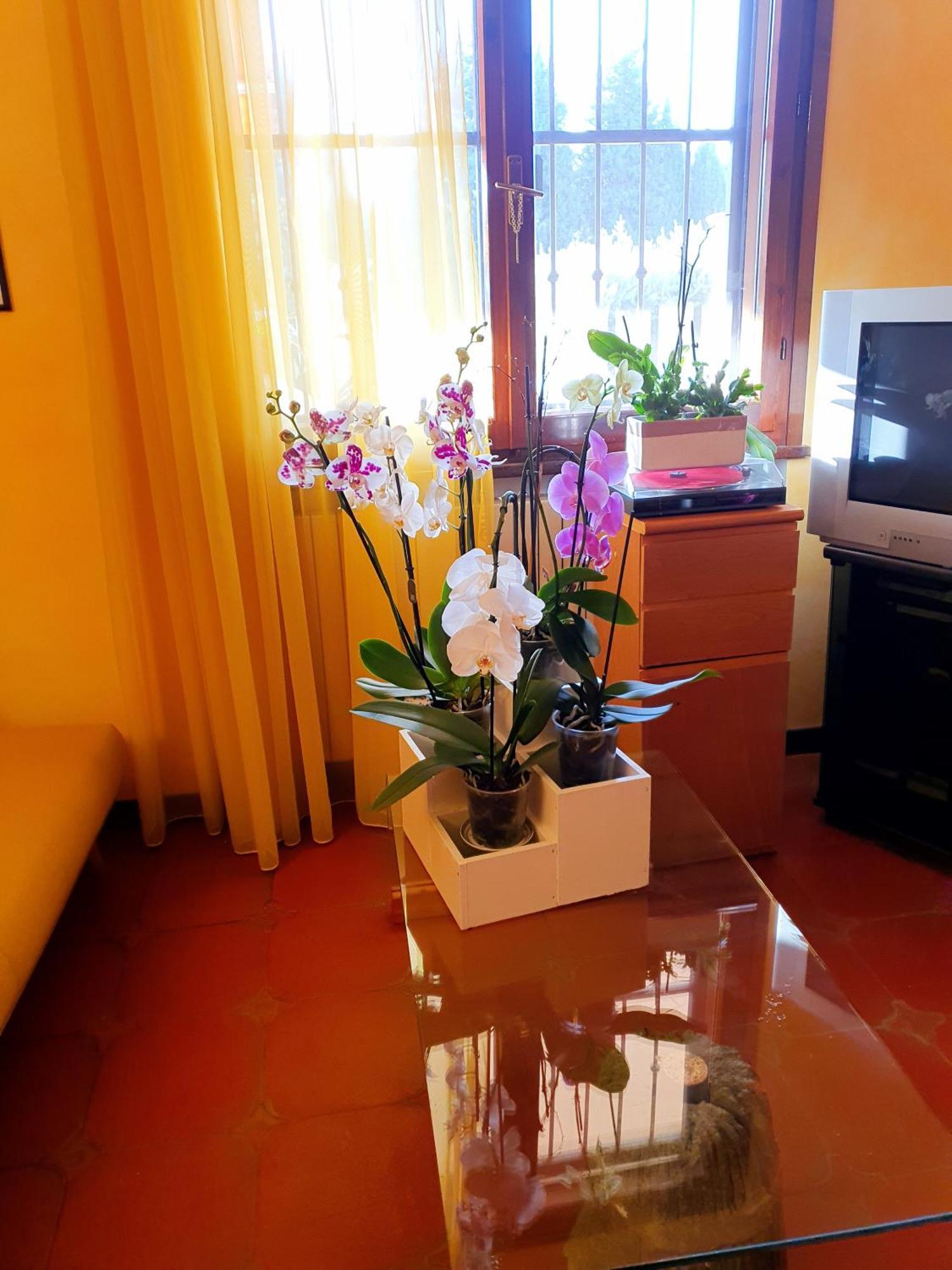 Villa Elsa, Cesena Zona Ippodromo מראה חיצוני תמונה